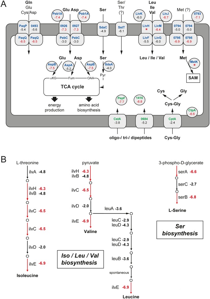 Fig 4