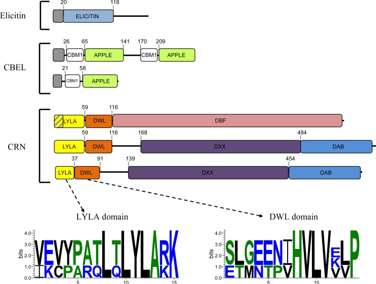 FIG 2