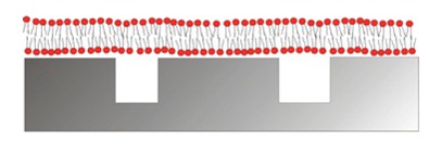 graphic file with name sensors-15-01635t7.jpg