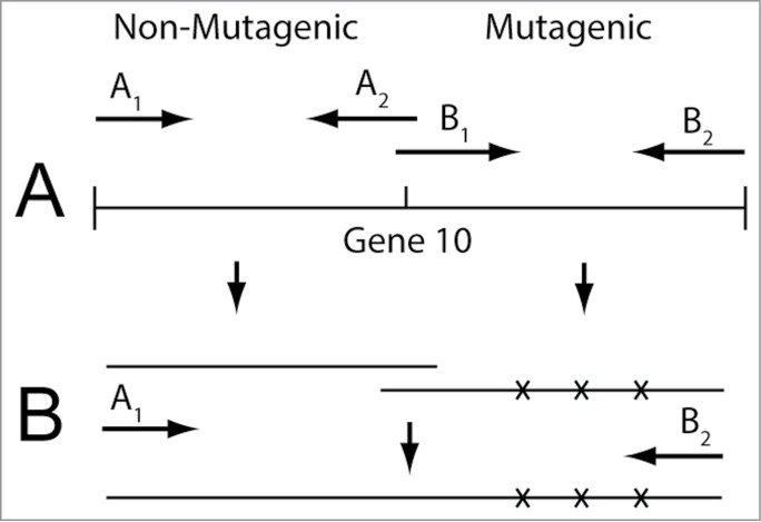 Figure 6.