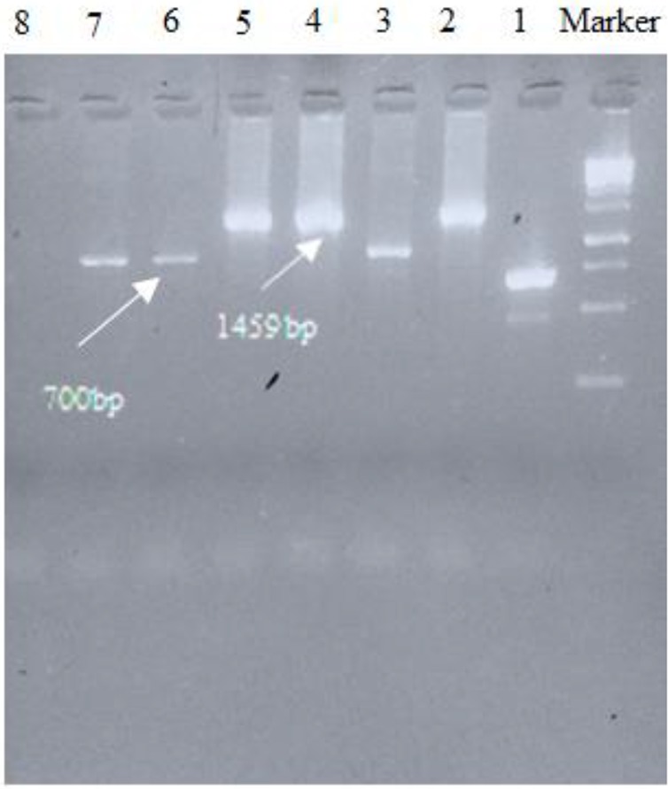 Fig. 2: