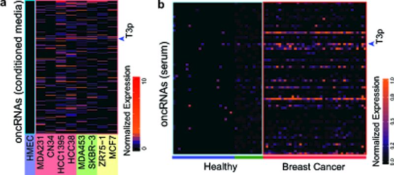 Fig 6: