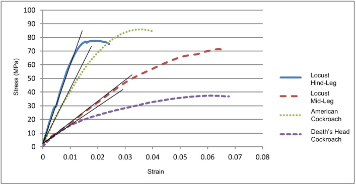 Fig 5