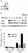 FIG. 7.