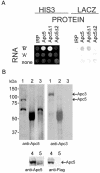 FIG. 1.