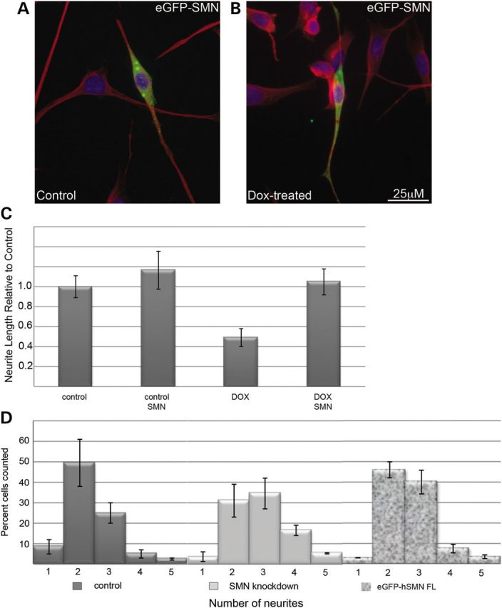 Figure 2.