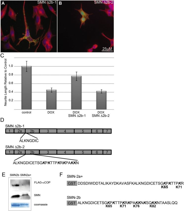 Figure 6.