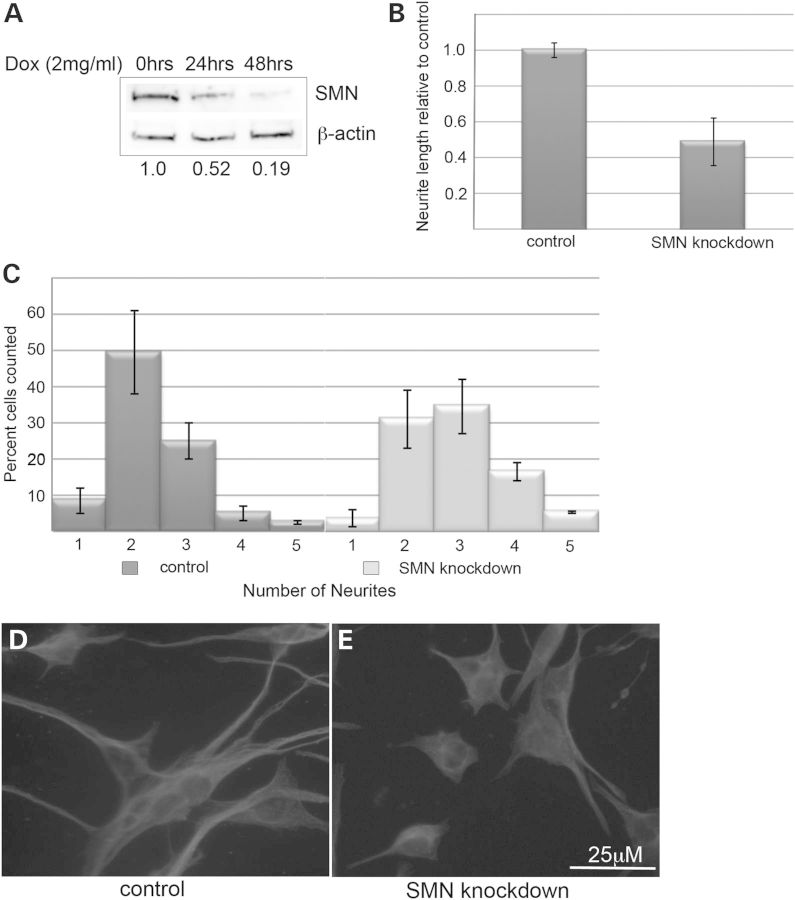 Figure 1.