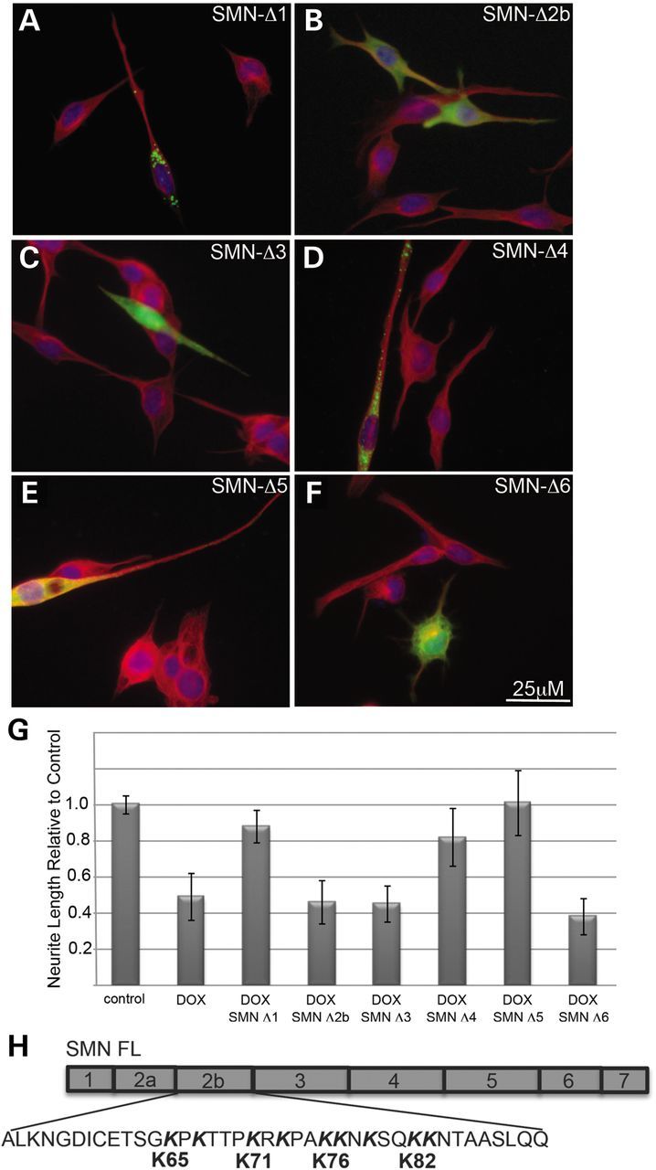 Figure 4.