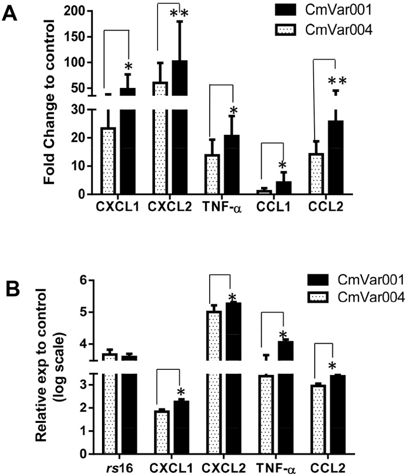 FIG 2 