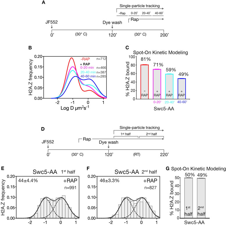 Figure 2—figure supplement 2.