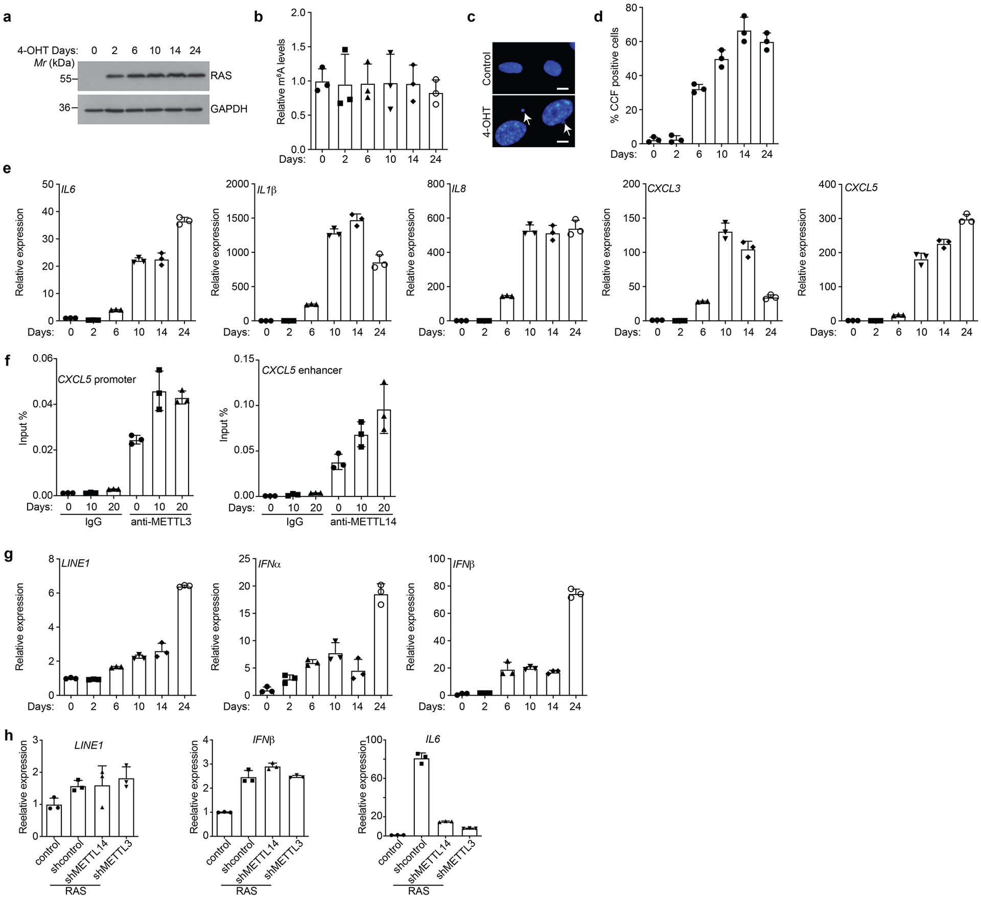 Extended Data Fig. 6