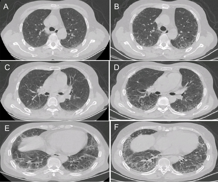 Fig. 5