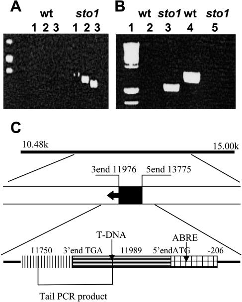 Figure 6.