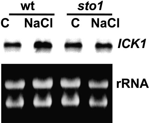 Figure 11.