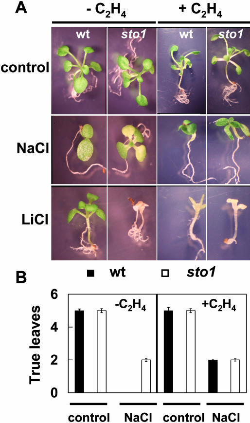 Figure 12.