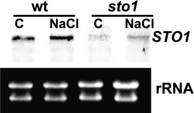 Figure 7.