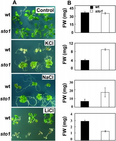 Figure 3.