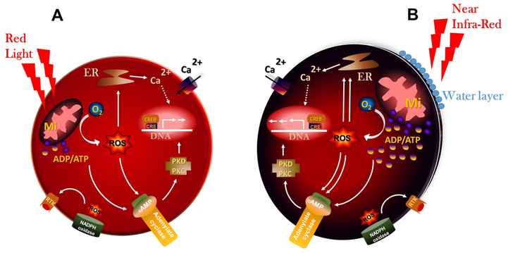 Fig. 7.