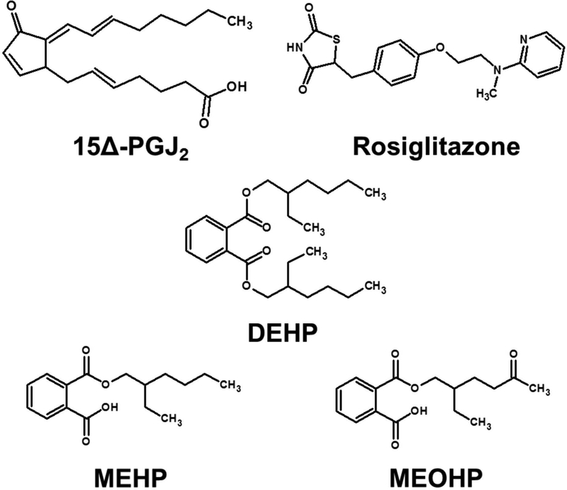 Figure 1: