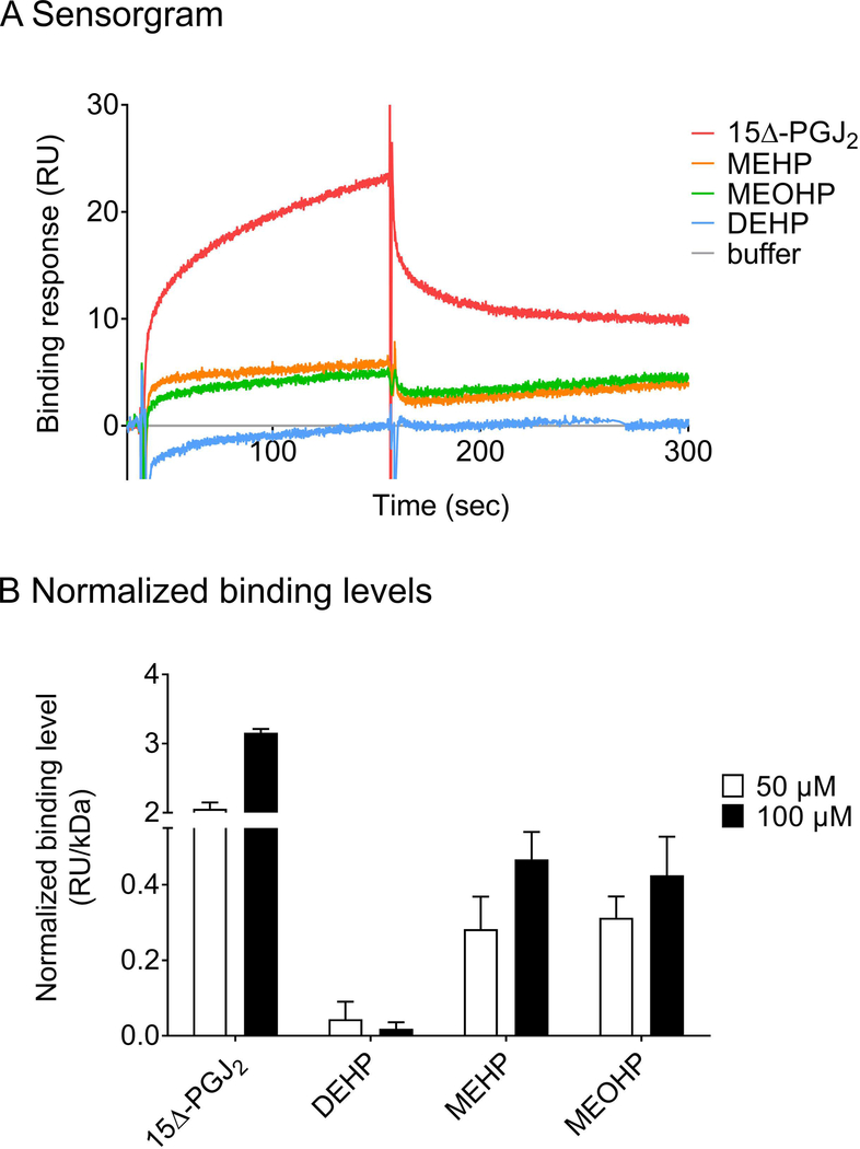 Figure 6: