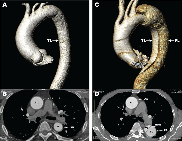 FIGURE 1