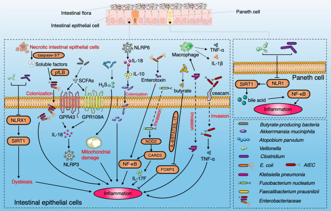 Figure 2