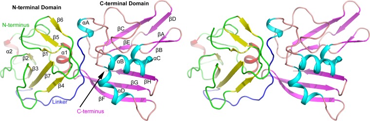 FIG 1