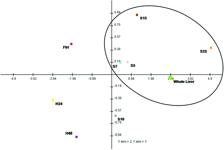 Fig. 6