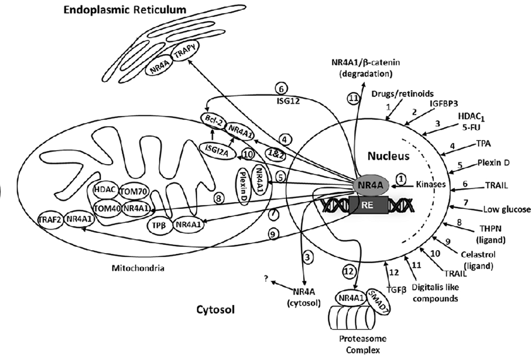 Figure 5: