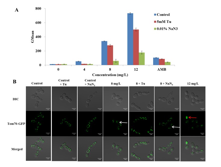 Fig 6