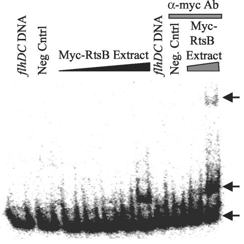 FIG. 9.