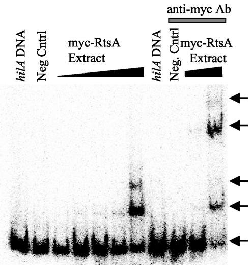 FIG. 5.