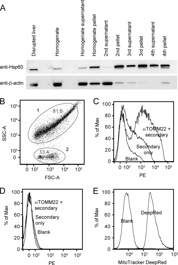 FIGURE 1.