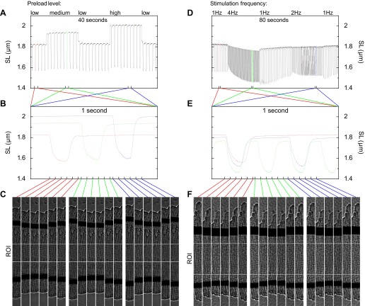 Fig. 7.