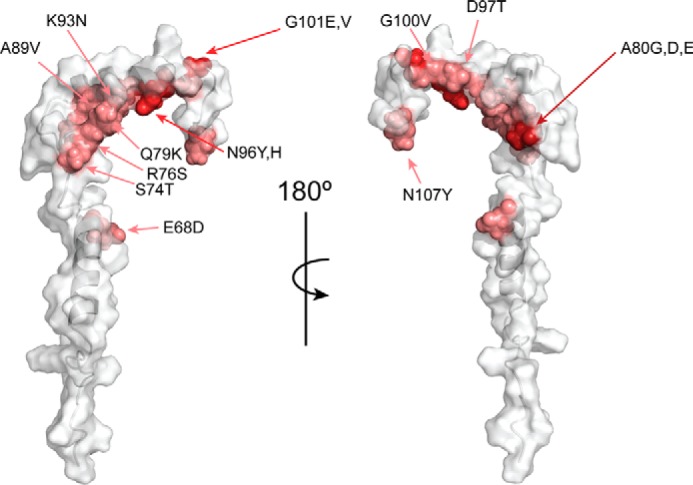 Figure 7.