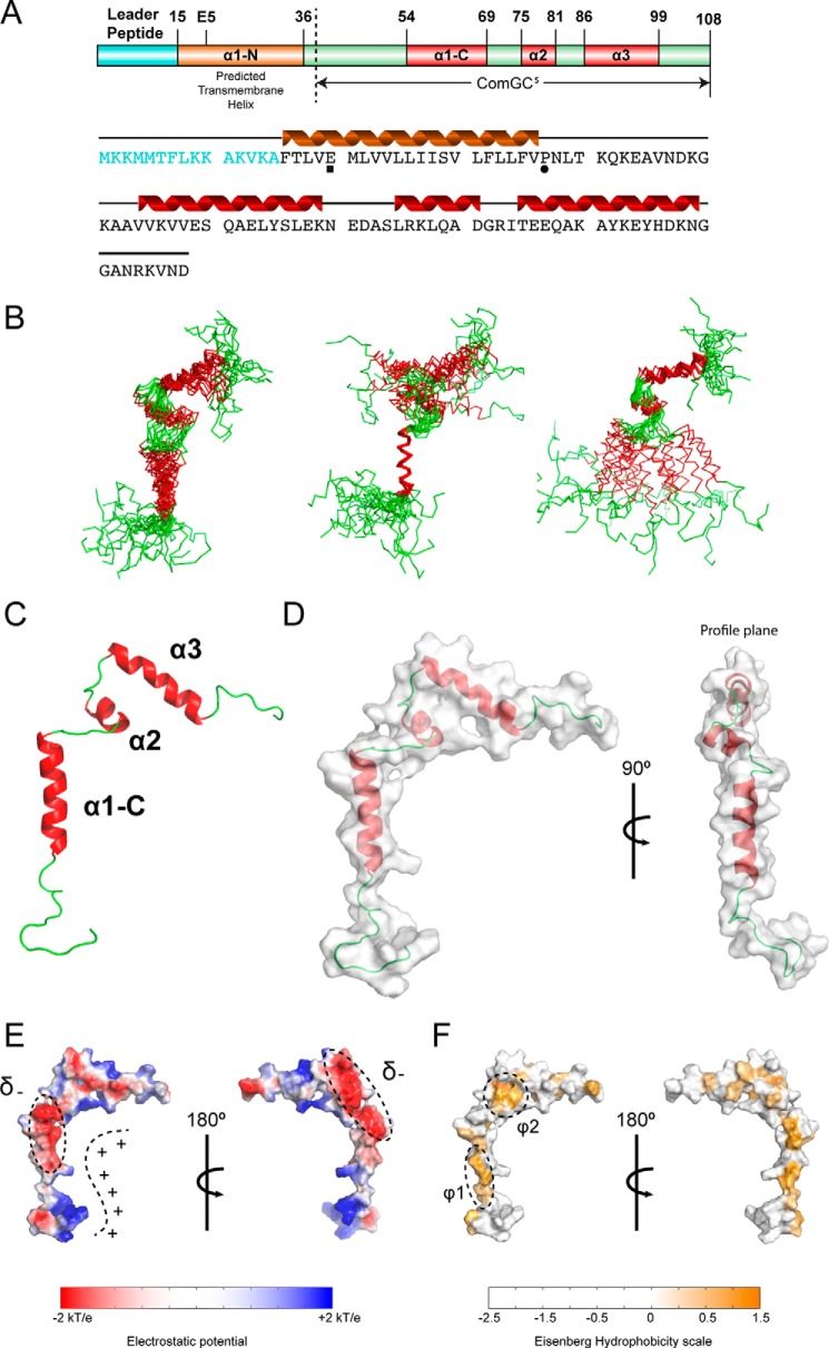 Figure 5.