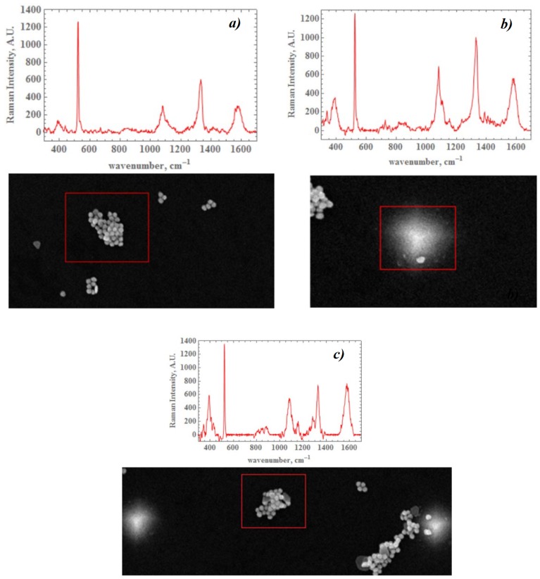 Figure 31