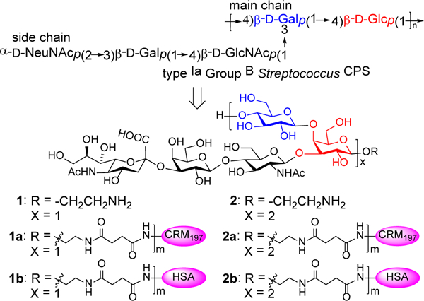 Figure 1: