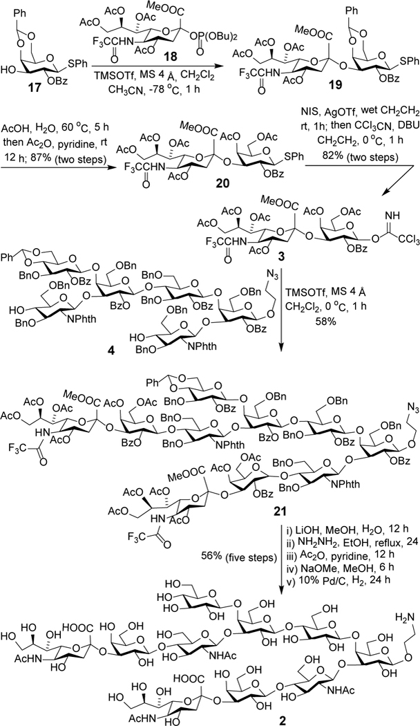 Scheme 5.