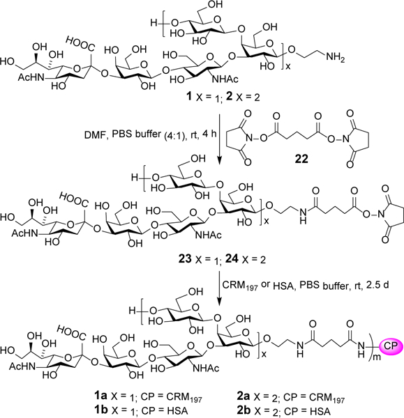 Scheme 6.