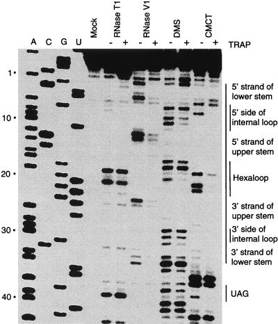 FIG. 5