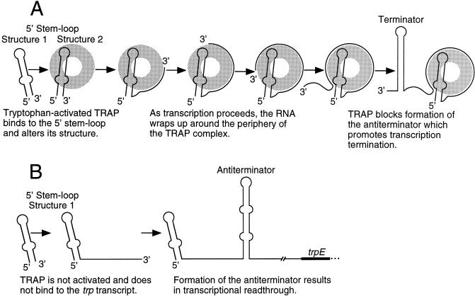 FIG. 8