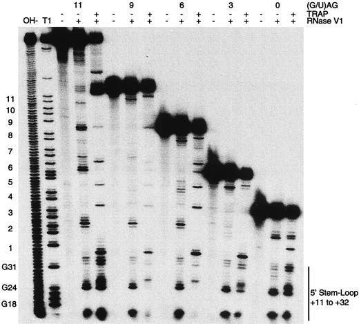 FIG. 7