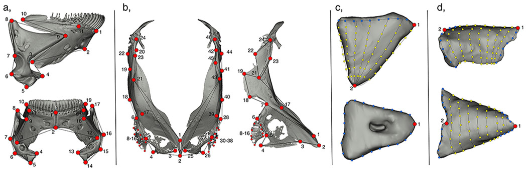 Figure 3.