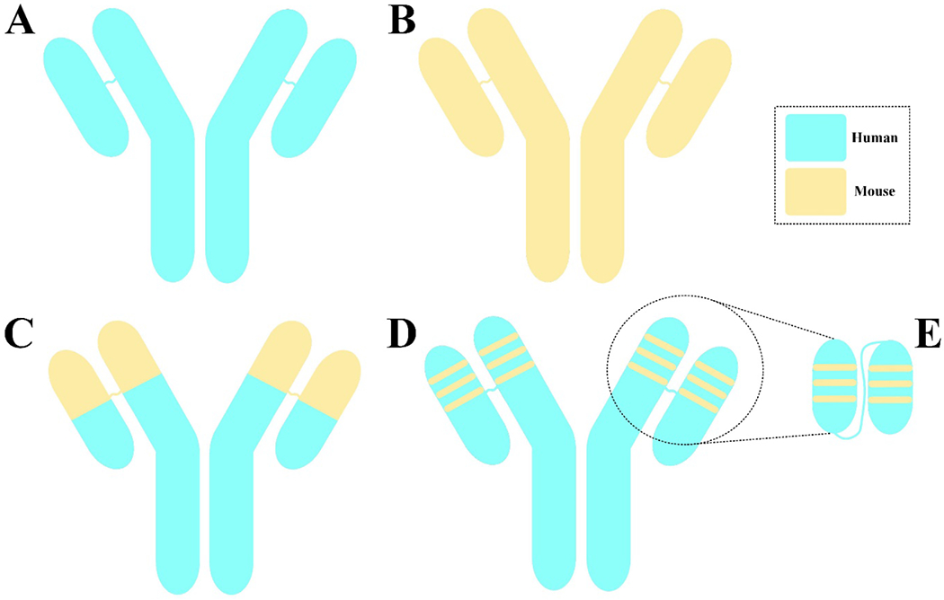 Figure 1: