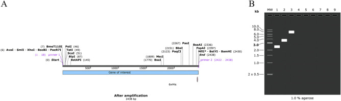 Figure 13