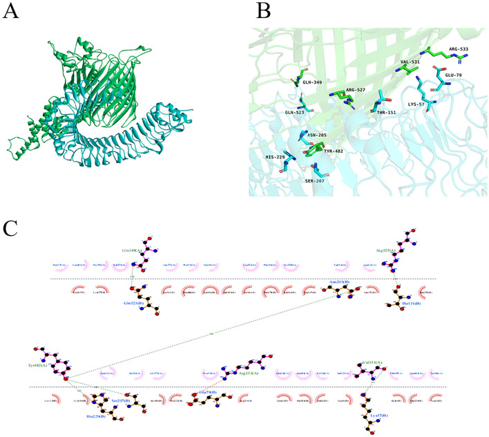 Figure 9