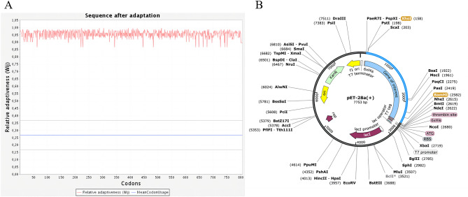 Figure 12