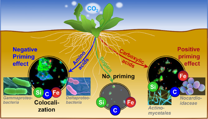 Image, graphical abstract